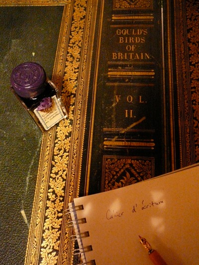 Calligraphy
