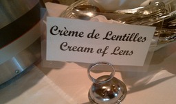 Digestible lens