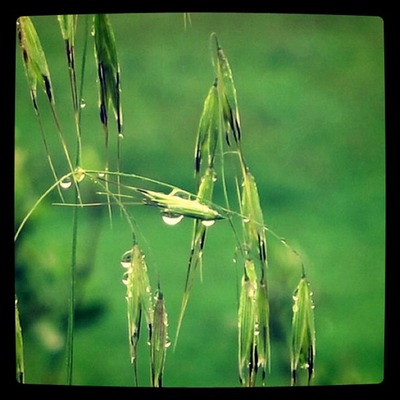 Drippity drop!