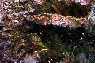 Jameos del agua