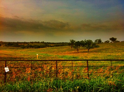 Johnson, Texas